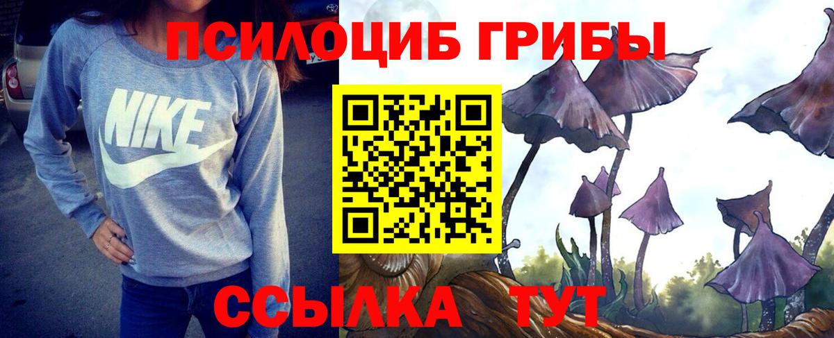 Псилоцибиновые грибы прущие грибы Ревда