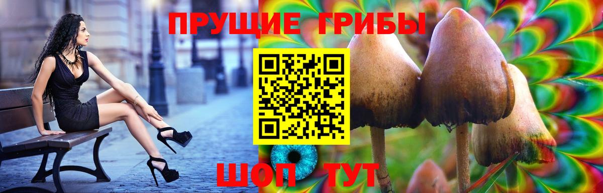 Галлюциногенные грибы Cubensis  Вход с VPN  Ревда 